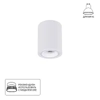 Точечный накладной светильник Arte Lamp IMAI A2267PL-1WH