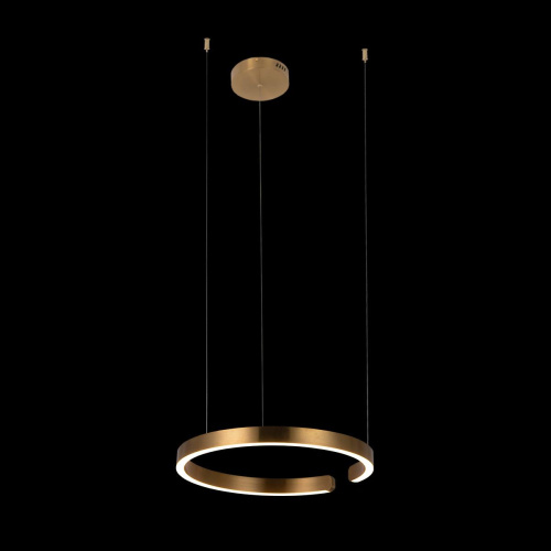 10013M Подвесной светильник LOFT IT Ring фото 4