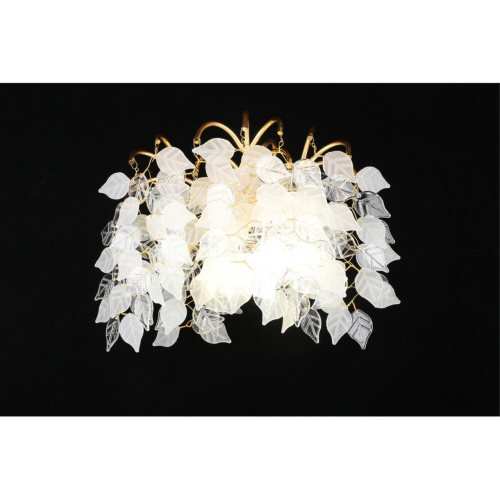 Светильник настенный (Бра) APL.849.01.03 фото 3