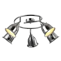 Спот Arte Lamp CAMPANA A9557PL-5CC
