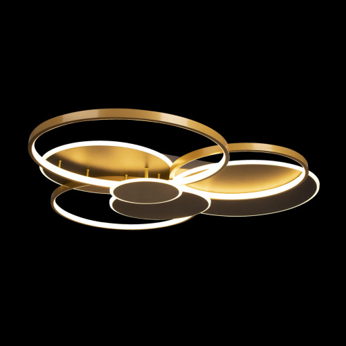 10163 Black Потолочный светильник LOFT IT Megan фото 4 10163 Black Потолочный светильник LOFT IT Megan фото 4