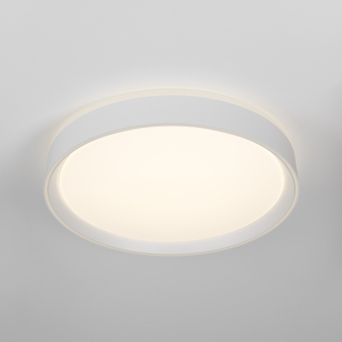 Citilux BOSS CL751350G LED RGB Светильник с пультом Белый фото 3