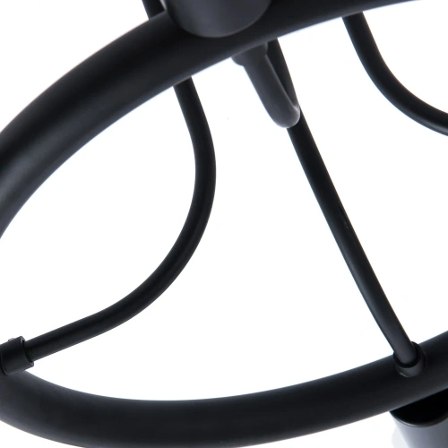 Потолочная люстра Arte Lamp HIGHGARDEN A6063PL-8BK фото 3