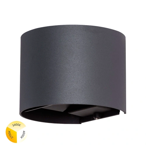 Фасадный светильник Arte Lamp RULLO A1415AL-2BK