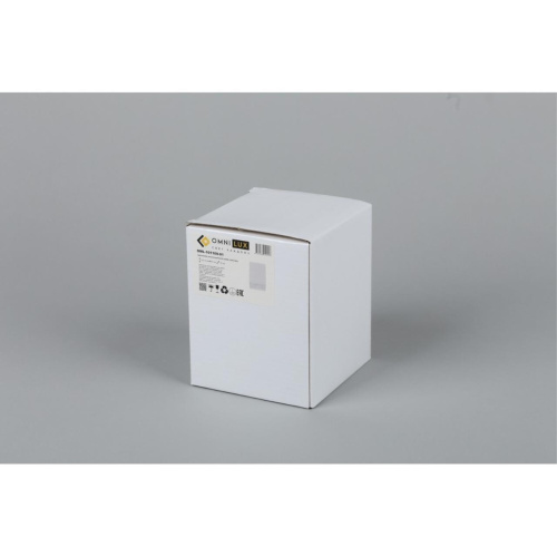 Светильник встраиваемый-накладной OML-101109-01 фото 4