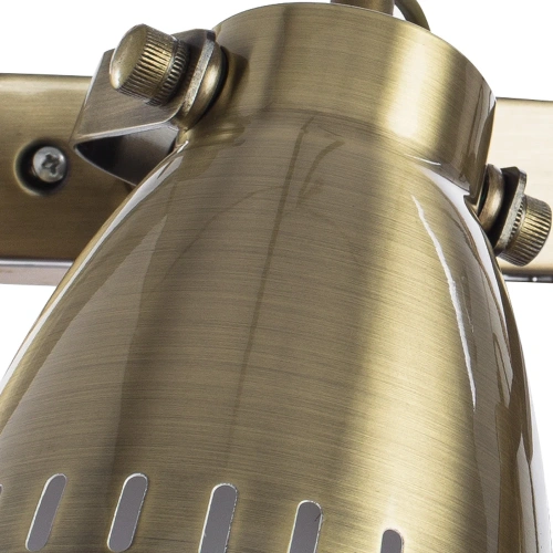 Спот Arte Lamp LUNED A2214AP-2AB фото 3