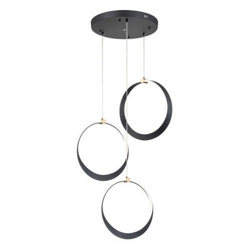 Подвесная светодиодная люстра Indigo Parade 14014/3P Black V000072L фото 2