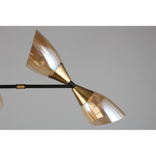 Люстра потолочная OML-66807-08 фото 10 Люстра потолочная OML-66807-08 фото 10