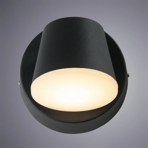 Уличный настенный светильник Arte Lamp CHICO A2212AL-1BK фото 2 Уличный настенный светильник Arte Lamp CHICO A2212AL-1BK фото 2
