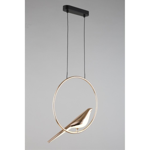 Светильник подвесной APL.822.06.10 фото 4 Светильник подвесной APL.822.06.10 фото 4