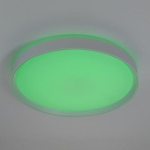 Citilux BOSS CL751450G LED RGB Светильник с пультом Белый фото 10