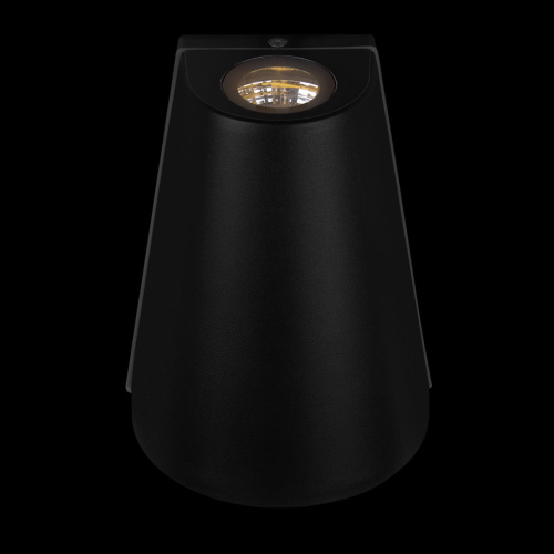 100004/2 Уличный светильник  LOFT IT Eterno фото 8