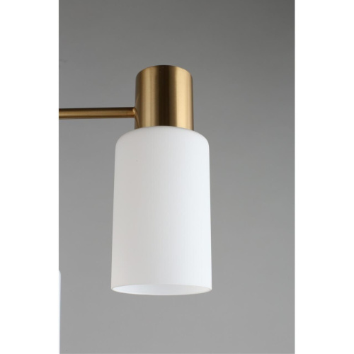 Люстра потолочная OML-69107-08 фото 7 Люстра потолочная OML-69107-08 фото 7