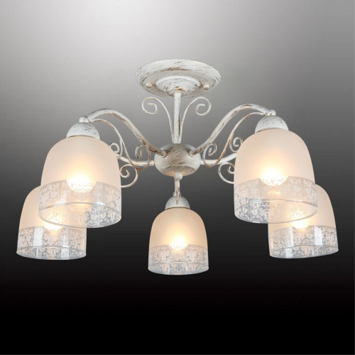 Люстра потолочная OML-54907-05 фото 5 Люстра потолочная OML-54907-05 фото 5