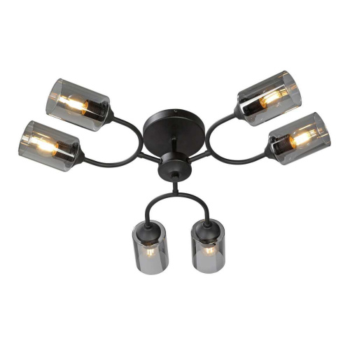 Потолочная люстра Vitaluce V2823-1/6PL Потолочная люстра Vitaluce V2823-1/6PL