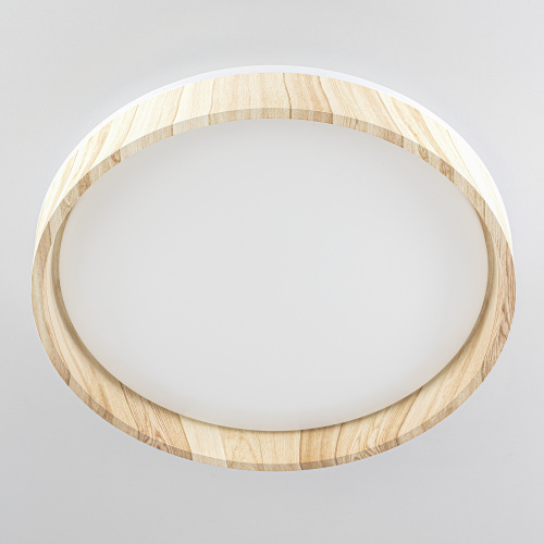 Citilux ENZO CL753352G LED RGB Светильник с пультом Клён фото 4 Citilux ENZO CL753352G LED RGB Светильник с пультом Клён фото 4