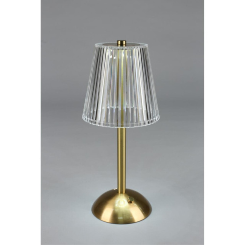 Настольная лампа OML-40004-01 фото 7