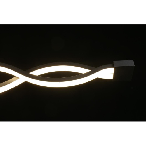 Светильник настенно-потолочный APL.002.12.36 фото 10