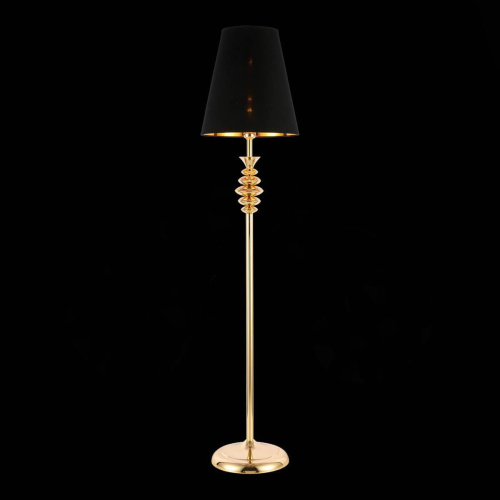 Торшер Evoluce Rionfo SL1137.205.01 фото 5