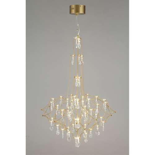 Люстра подвесная OML-95713-60 фото 8