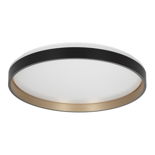 Citilux ENZO CL753511G LED RGB Светильник с пультом Черный + Золото фото 5 Citilux ENZO CL753511G LED RGB Светильник с пультом Черный + Золото фото 5