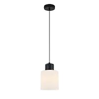 Подвесной светильник Escada 2133/1S E27*60W Black marble
