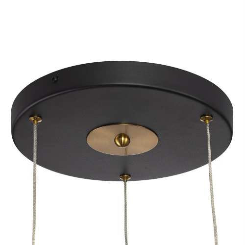 Citilux TANNA CL253020 LED Подвесной светильник фото 5