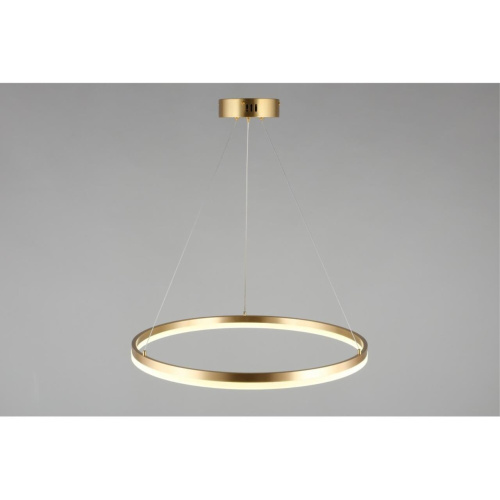 Люстра подвесная APL.049.13.40 фото 6