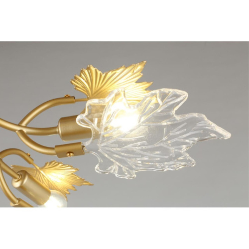 Люстра потолочная OML-52707-06 фото 3 Люстра потолочная OML-52707-06 фото 3