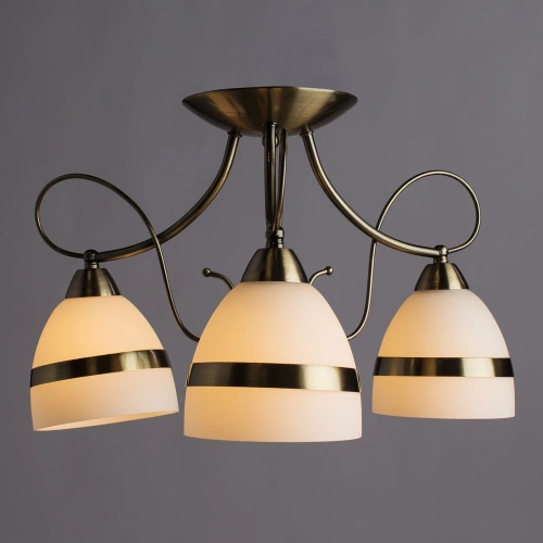 Потолочная люстра Arte Lamp NOEMI A6192PL-3AB фото 2