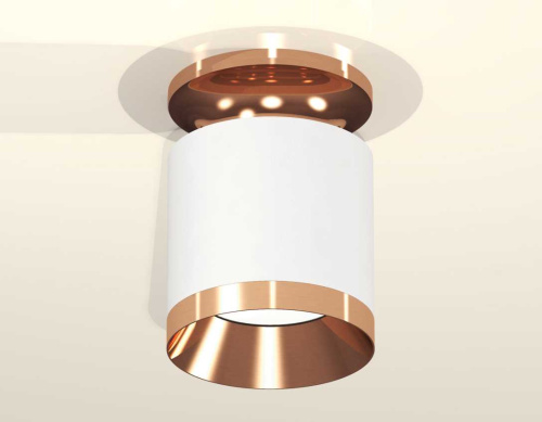 Комплект накладного светильника Ambrella light Techno Spot XS7401141 SWH/PPG белый песок/золото розовое полированное (N7930, C7401, N7035) фото 2