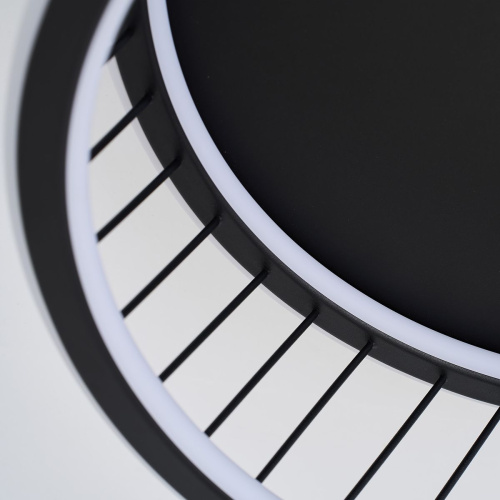 Потолочный светильник F-Promo Korg 4436-2C фото 5