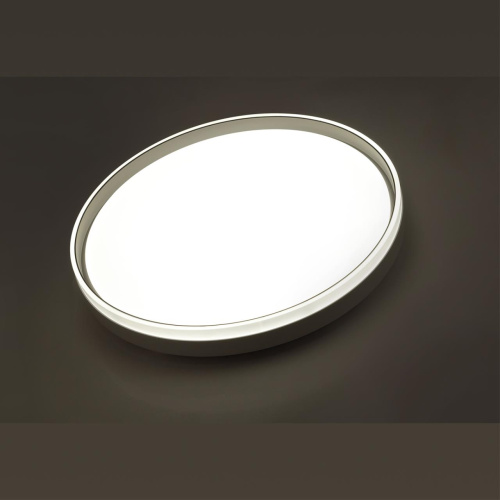 7631/DL PALE SN 160 Светильник пластик/светло-серый LED 48Вт 3000-6300K D390 IP43 пульт ДУ SAVI 7631/DL PALE SN 160 Светильник пластик/светло-серый LED 48Вт 3000-6300K D390 IP43 пульт ДУ SAVI