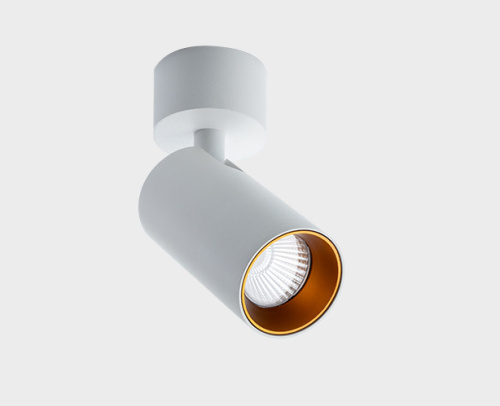 Ring for 10W gold кольцо для светильника фото 3 Ring for 10W gold кольцо для светильника фото 3