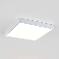 Накладной потолочный светодиодный светильник DLS034 24W 4200K