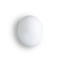 Настенный светильник AP CHIC BC BC