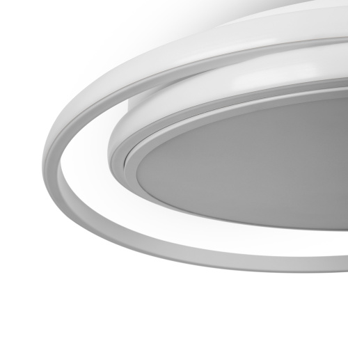 Потолочный светильник Freya FR10032CL-L98W фото 3