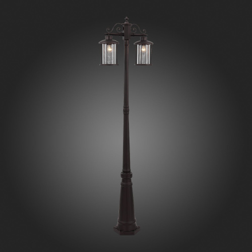 SL080.425.02 Светильник уличный наземный ST-Luce Темный кофе/Прозрачный, Темный кофе E27 2*100W LASTERO фото 3