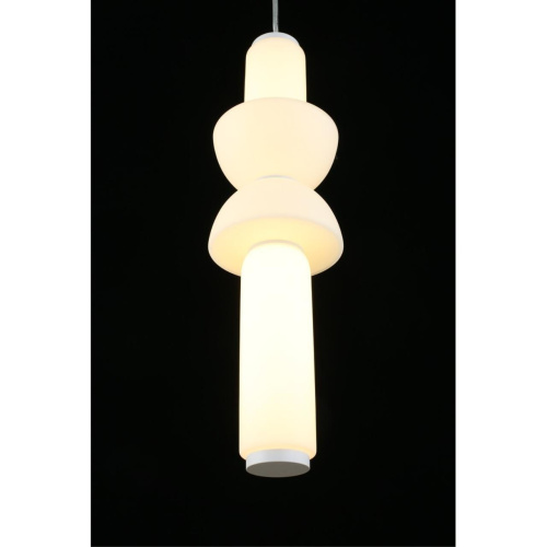 Светильник подвесной APL.665.16.17 фото 11