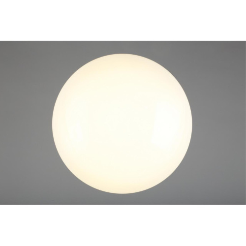 Люстра потолочная OML-43007-40 фото 8 Люстра потолочная OML-43007-40 фото 8