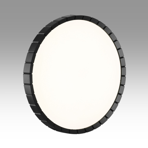 7649/DL PALE SN 142 Светильник пластик/белый/черный LED 48Вт 4000К D385 IP43 ATABI BLACK фото 5