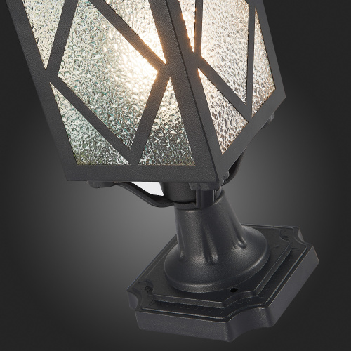 SL084.405.01 Светильник уличный наземный ST-Luce Черный/Черный, Прозрачный E27 1*60W LORNE фото 9