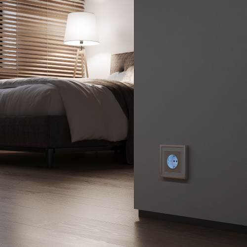 Розетка с подсветкой (айвори матовый) W1171462 фото 2 Розетка с подсветкой (айвори матовый) W1171462 фото 2