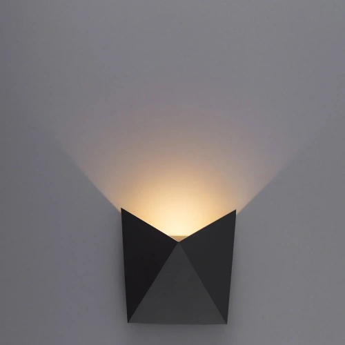 Фасадный светильник Arte Lamp BUSTA A1609AL-1BK фото 3