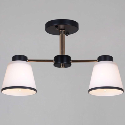 Потолочная люстра Reluce 30560-0.3-02 BK+FG