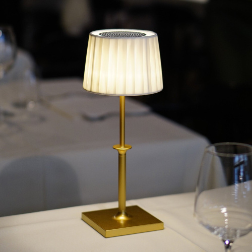 Настольная лампа Poldina Classic Matt gold / Ivory фото 8