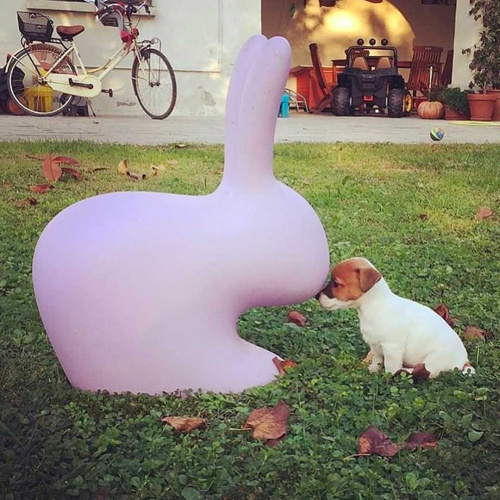 Стул Rabbit Green Mix фото 3 Стул Rabbit Green Mix фото 3