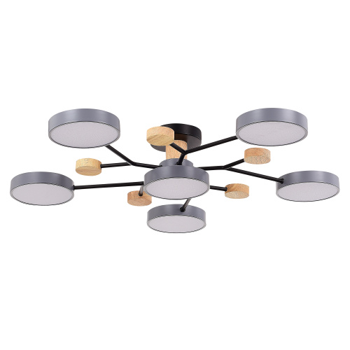 SLE6006-702-06 Светильник потолочный Серый/Серый LED 6*12W 3000K/4500K/6000K FAEMA фото 6