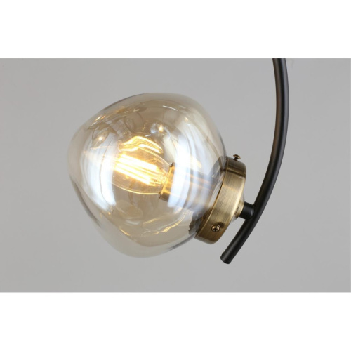 Люстра потолочная OML-95307-06 фото 10 Люстра потолочная OML-95307-06 фото 10