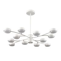 Люстра Lumion TORINA 8265/12